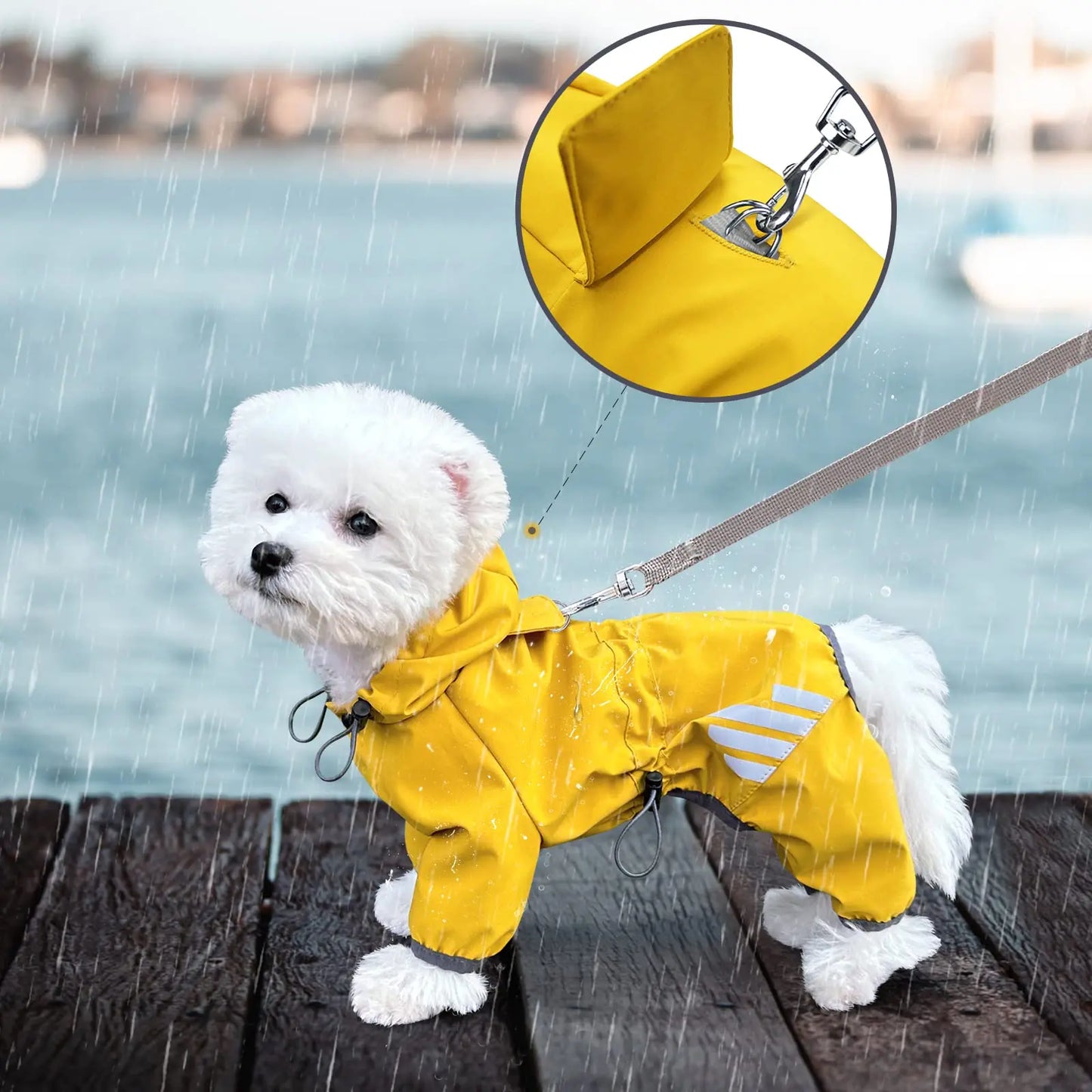 Waterproof Dog Raincoat with Hood and Leash Hole