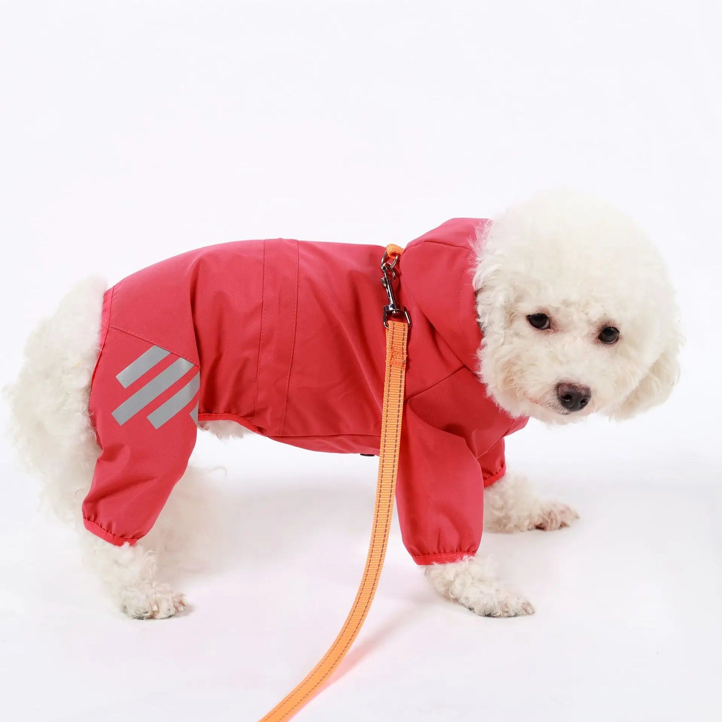 Waterproof Dog Raincoat with Hood and Leash Hole
