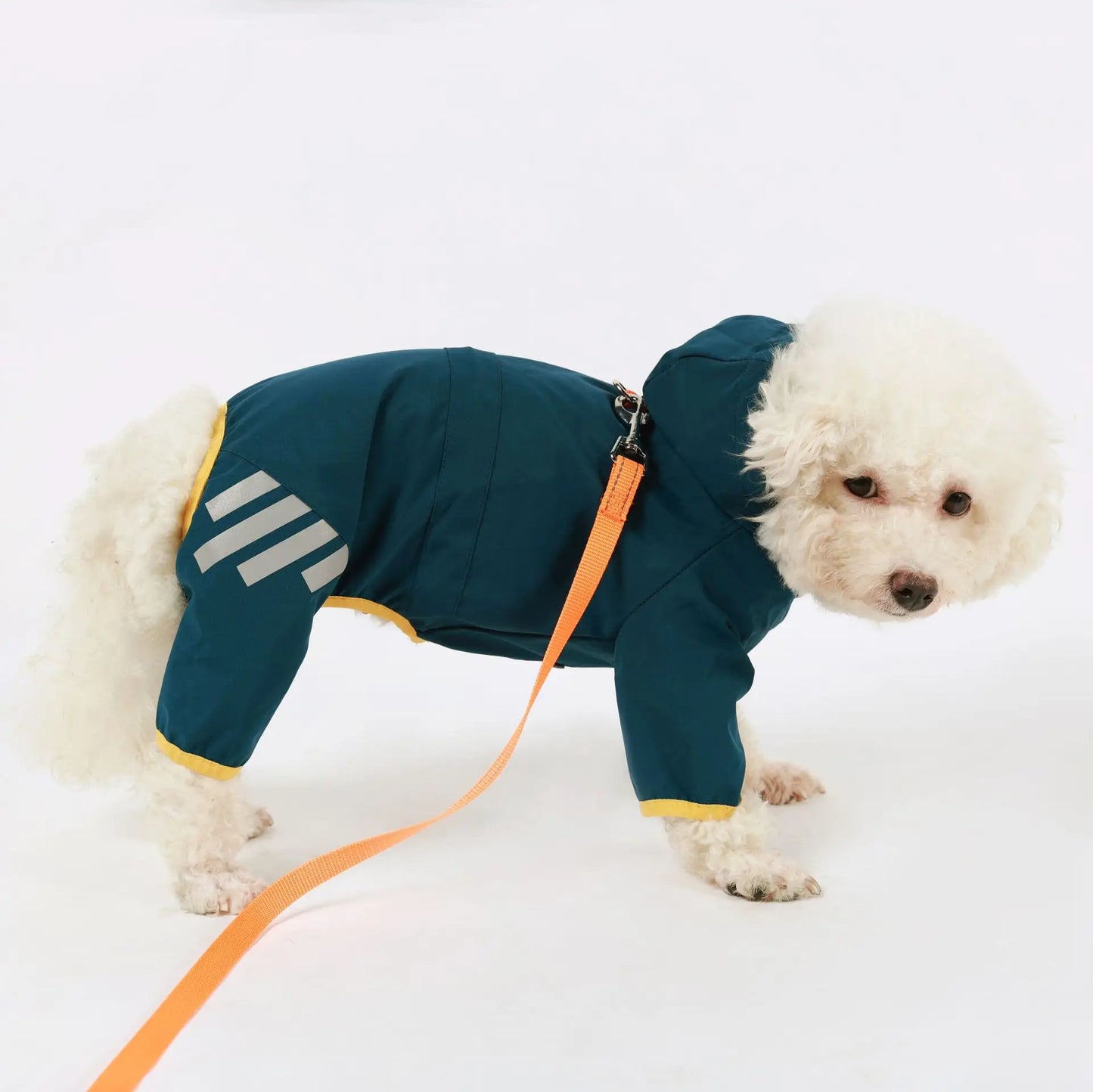 Waterproof Dog Raincoat with Hood and Leash Hole